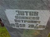  ϸ 
