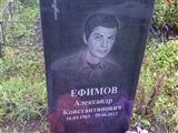 Ефим Александров Фото