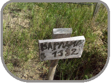       2 () ( ) 