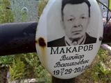 Макаров виктор васильевич иргупс фото