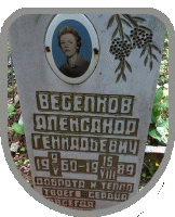   Ը     () 