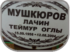 111