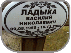 111