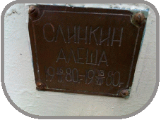 111