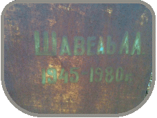 111