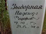  ϸ 