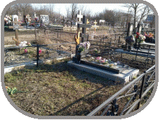    Ը   .  () 