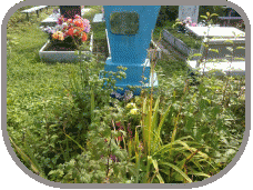 ������ �������� ��������� �������� �� �������� �. �������� (��������� �����) 