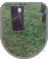111